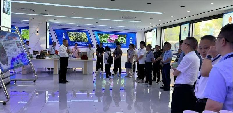 江西安远:林下生“金” 链上增“值”